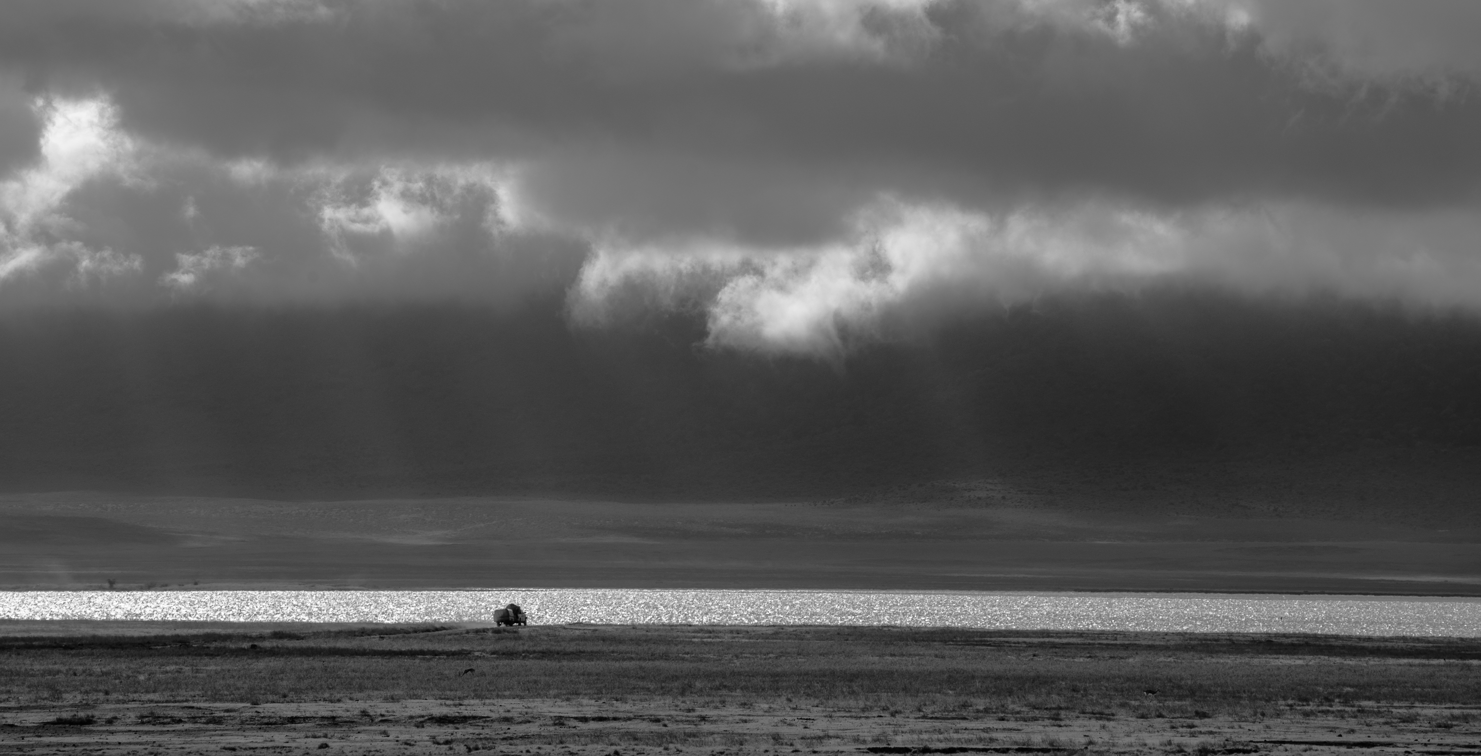 A distant animal beneath storm clouds and shafts of light
